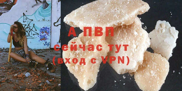 шишки Магас