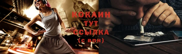 шишки Магас