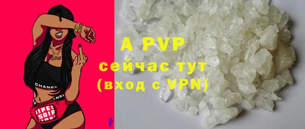прущие крисы Магадан