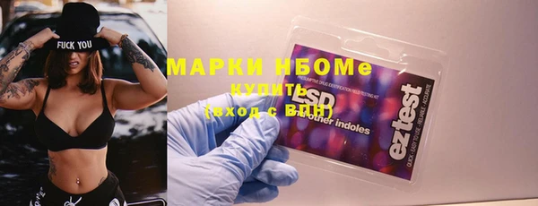 шишки Медногорск