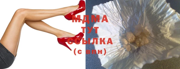 шишки Магас