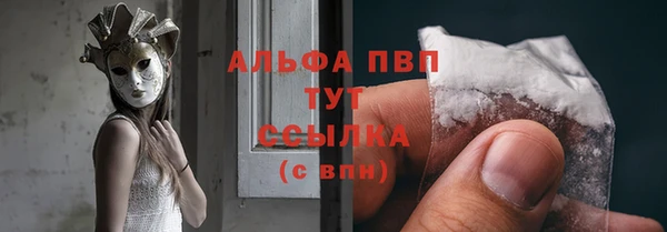 прущие крисы Магадан