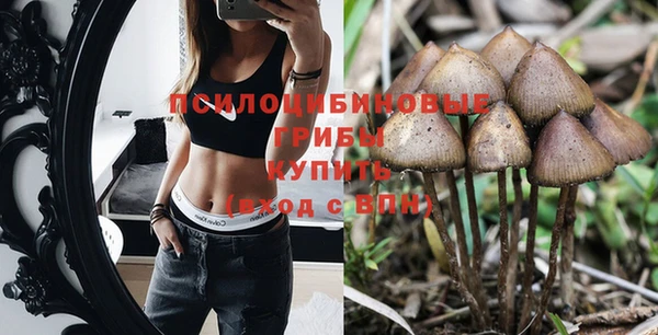 прущие крисы Богданович