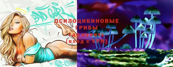 винт Богородицк