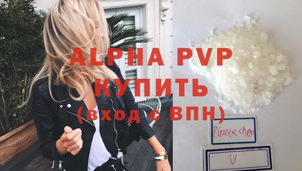 шишки Магас