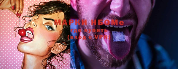 шишки Магас