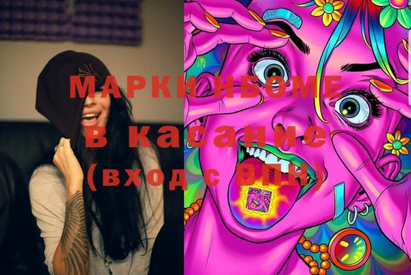 шишки Магас