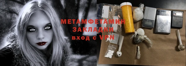 шишки Магас